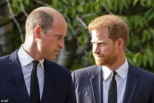 Reports suggest that while Prince Harry (pictured, right) has a strained relationship with King Charles, Prince William (pictured, left) has recently grown closer to his father (seen in Windsor after viewing floral tributes for the late Queen Elizabeth II in September). 2022)