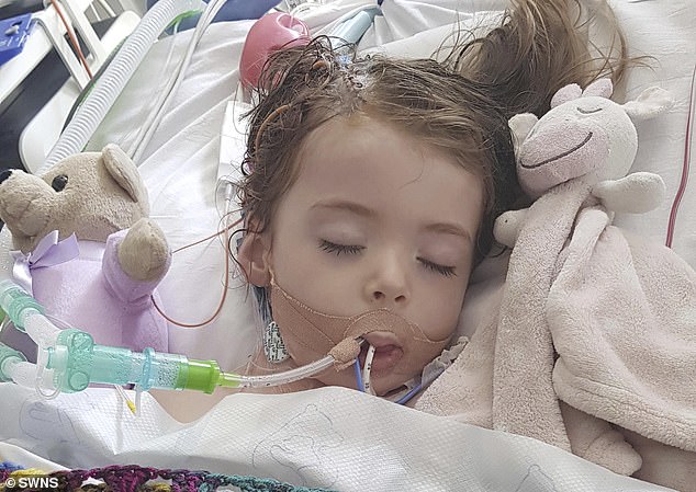 Her family was forced to turn off Allie's life support machine just two weeks into her vacation due to brain complications caused by the illness.