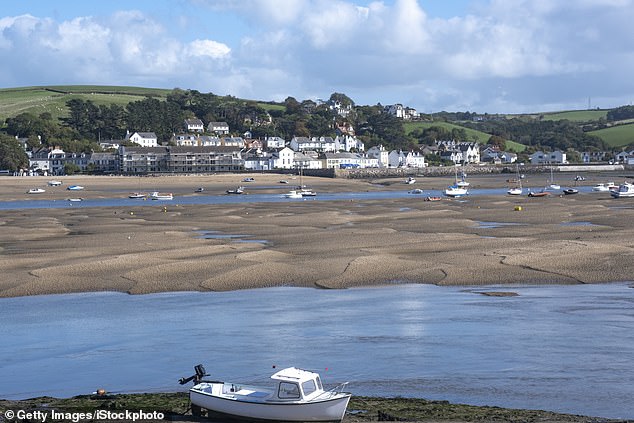 Around 180 of the pastel-coloured properties in Appledore, Devon, have been converted into Airbnbs, equivalent to one holiday rental for every ten households.