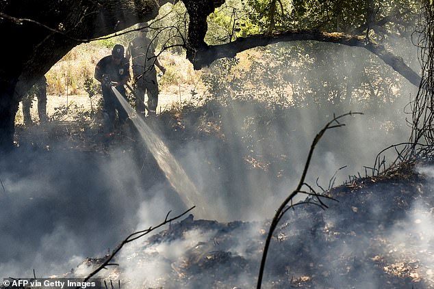 Firefighters from the Cyprus Forest Department extinguish a fire that broke out in the village of Choulou, western Cyprus, on June 12.