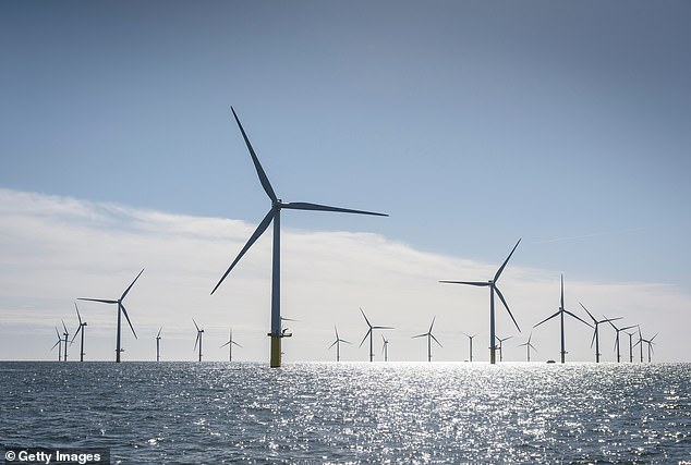 Horne said he bought a new boat believing his lobster fishing spot would be on the edge of the offshore wind farm (file image), only for the government to move it further from the coast.