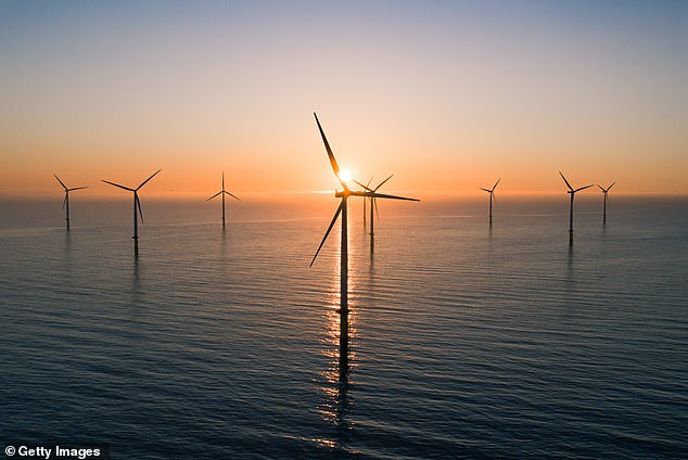 The project has angered locals who challenged the government to install a wind farm on more popular coasts such as Sydney's eastern beaches (file image).