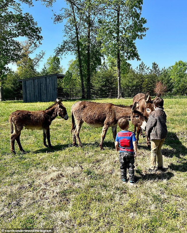 The couple built their home on the property, complete with a barn and animals.