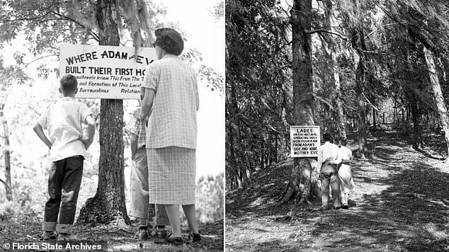 After World War II, Callaway had befriended a local retired doctor who had devoted his golden years to the production of spiritual and metaphysical books. Friendship may have convinced him to buy the property that became his 'Garden of Eden' tourist site (above)