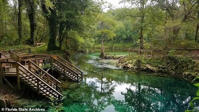 The shape of the local river system was just one feature of the land that led the reverend to his conclusion that the region was the Eden of the Old Testament. Torreya's native trees, among the rarest and oldest in the world, also influenced his thinking.