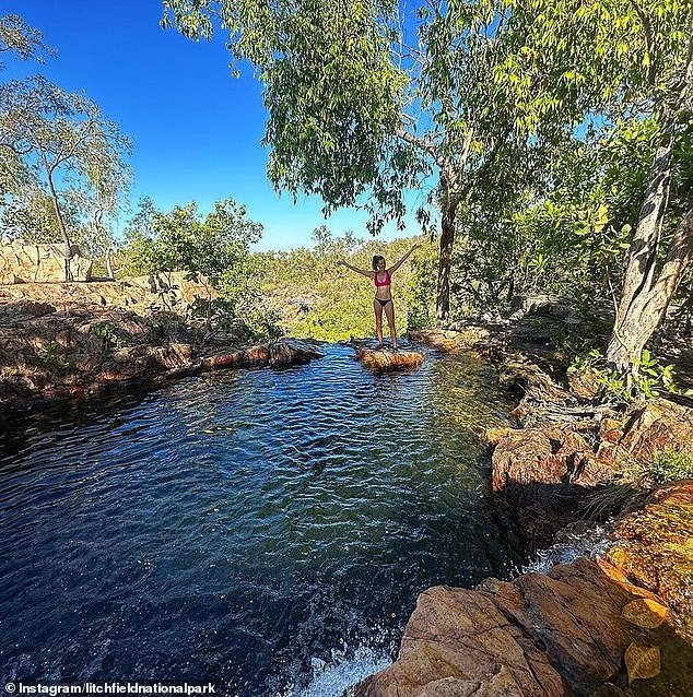 Florence Falls is popular with visitors for its beautiful natural beauty and bush-surrounded waterhole.