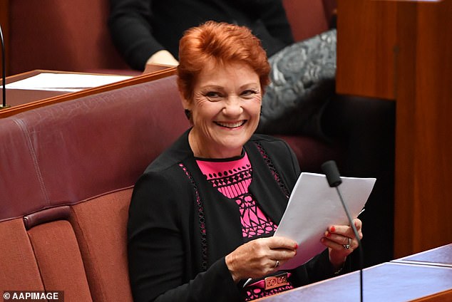 Pauline Hanson (pictured) won't mind the attention Irwin's legal threat is giving her.