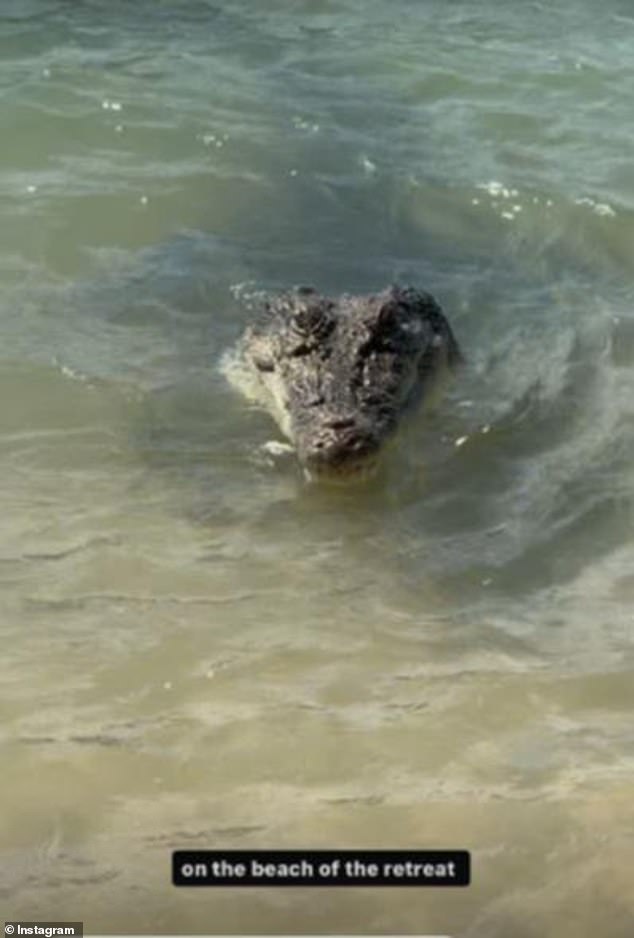 The video then pans across the sand to the water where a crocodile appears, just a few feet away from the child, who appears to be one-year-old Sunny, whom he shares with Chloe Szepanowski.