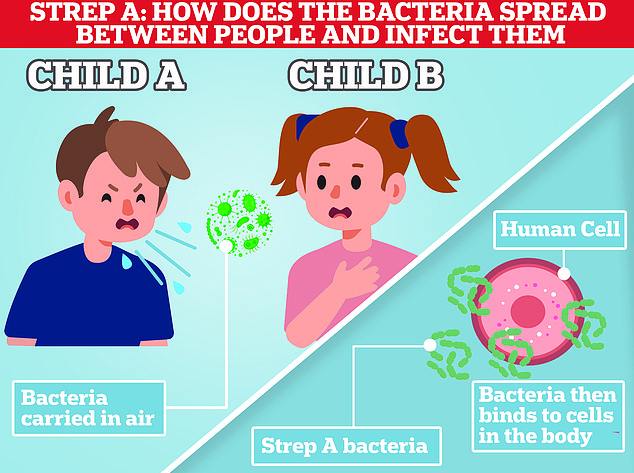 The assassin bug spreads through droplets from coughs, sneezes, speaking and skin-to-skin contact. In rare cases, Strep A bacteria are transmitted through food that has not been handled properly.