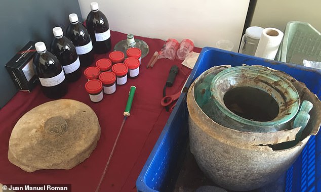 Analysis of the liquid inside the urn concluded that it was white wine despite its dark color, as it did not contain the polyphenols found in the skins of the grapes used to produce red wine.