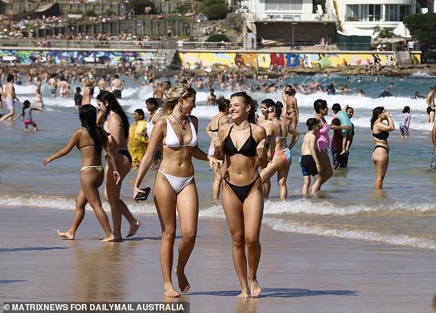 The political commentator said children in America are raised to see Australia as a paradise (pictured: beachgoers in Sydney).