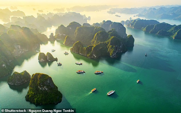 Travel: Alice made a full recovery and after six weeks of rest at home she was able to fly and continue her travels. In the photo: Halong Bay in Vietnam (archive image)