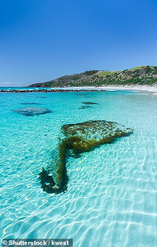 The perfect waters of Stokes Bay have to be seen to be believed