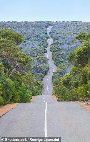 Pictured: An undulating road on Kangaroo Island