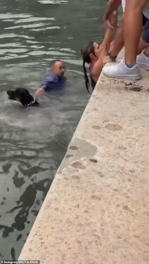 Both Guidice and the dog were eventually pulled from the water to safety with the help of onlookers. Vidrine vehemently denies the accusations against her and called her dog her 