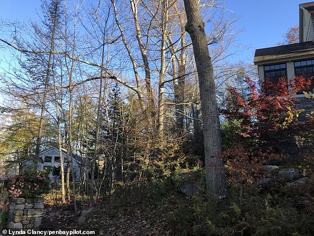 Gorman's house (left) is located downhill from Bond's house (right)