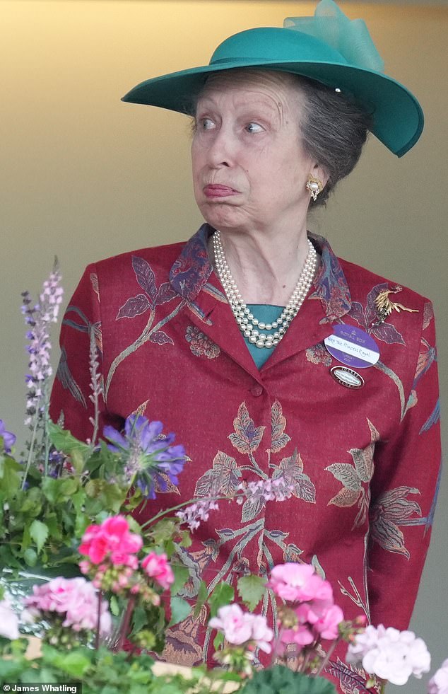 Princess Anne, who loves all things horses, watching the action at Ascot on Tuesday.