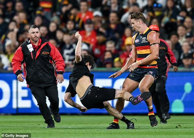 Crows star Ben Keays knocked Saginario to the turf as he ran towards Adelaide Oval during his team's match against Geelong (pictured).