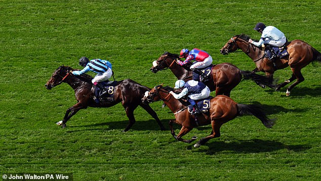 Dwyer's horse Asfoora won the Group One King Charles III Stakes on Tuesday at Royal Ascot.