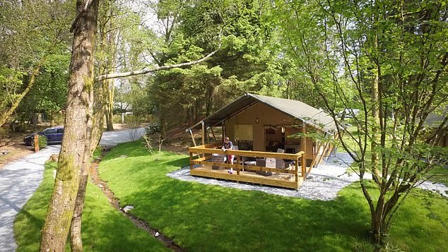 Guests can stay in a safari tent (pictured) at Skelwith Fold in Cumbria.