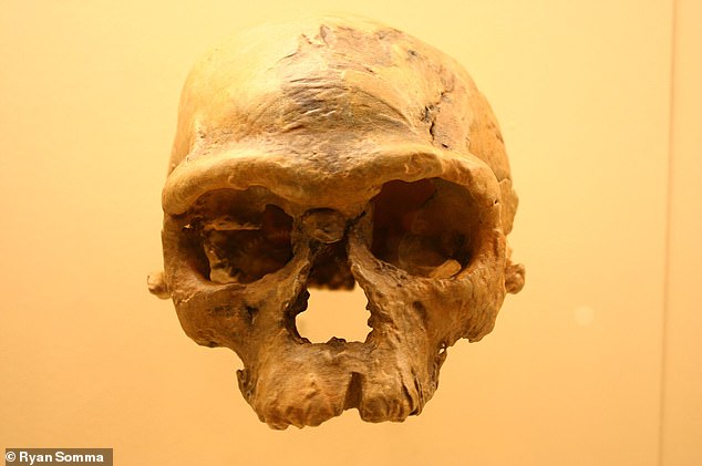 Scientists reconstructed the oldest known Homo sapien skull found in Morocco, which was missing its lower jaw when it was discovered in 2017.