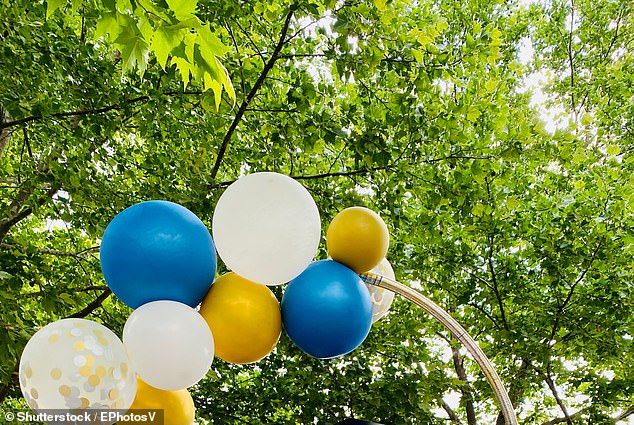 Several northern NSW councils have banned party balloons from their sites due to environmental concerns.