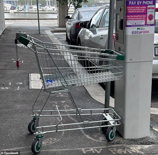 The city council has warned that those caught throwing carts could receive a fine of up to $1,150.