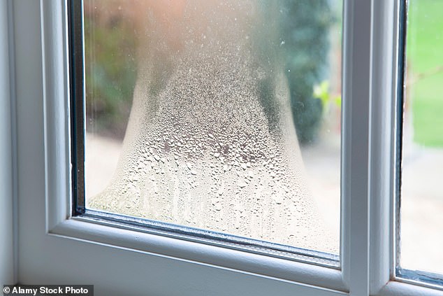 Not only is condensation frustrating, it can also lead to dangerous dampness and mold in your home.