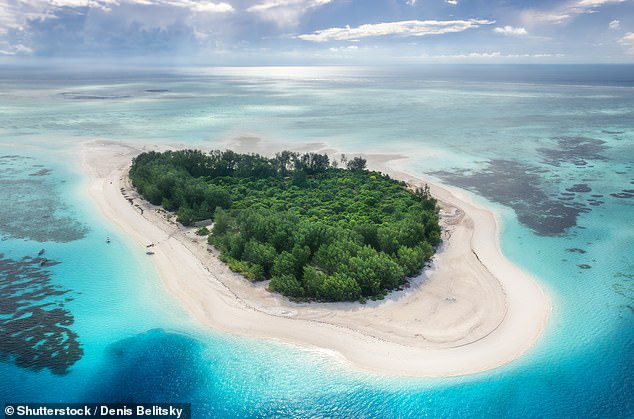 Sarfraz takes a boat to Mnemba Island (above), the 