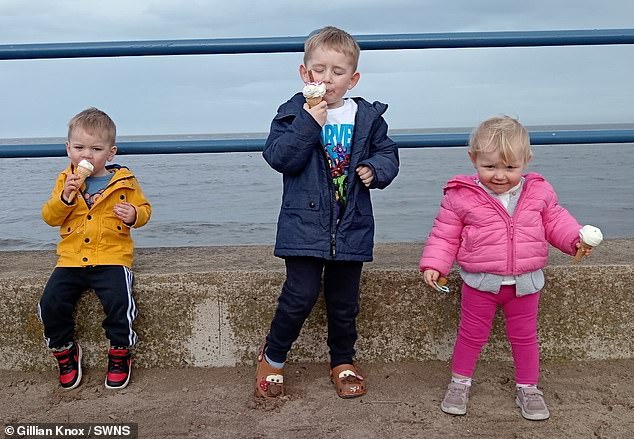 Gillian found it difficult when Rachel became pregnant with four-year-old Zach (centre) as she had been trying to have her own baby. But shortly after Rachel had Rory, two (left), Gillian discovered she was pregnant with Hallie, now two (right).