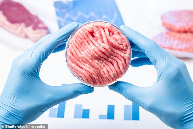 'Cell-based meat', grown in a laboratory from animal cells fed with chemicals, and first authorized for sale to the public last year.