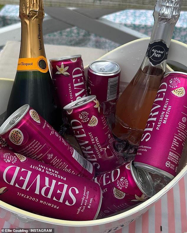 She shared a snippet of how drunk she was on her weekend as she posted a snap of an ice bucket full of bubbles and canned cocktails.