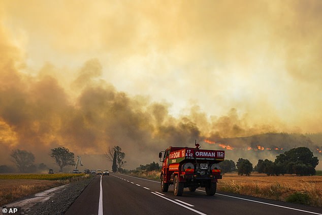 Footage shows smoke billowing over an area of ​​southern Türkiye amid wildfires.