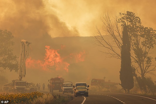 Firefighters work to extinguish a fire near Kumkoy, on the Gallipoli Peninsula, Turkey, Tuesday, June 18, 2024.