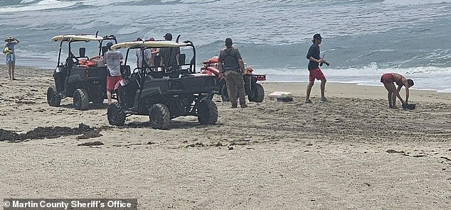 Brian Warter, 51, and Erica Wishard, 48, were on the beach behind the Marriott Hotel on Hutchinson Island, north of West Palm Beach, on Thursday afternoon when tragedy struck.