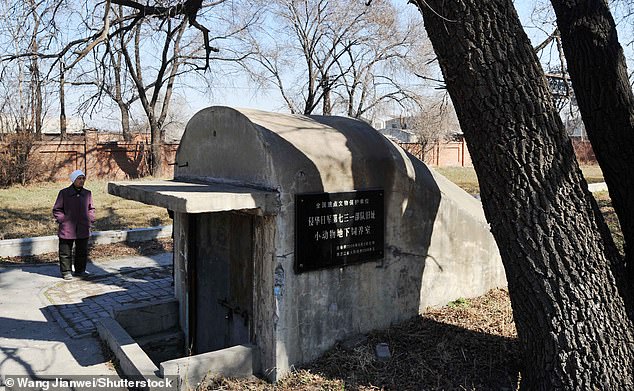 A woman visits the ruins of one of Japan's germ warfare facilities during World War II.