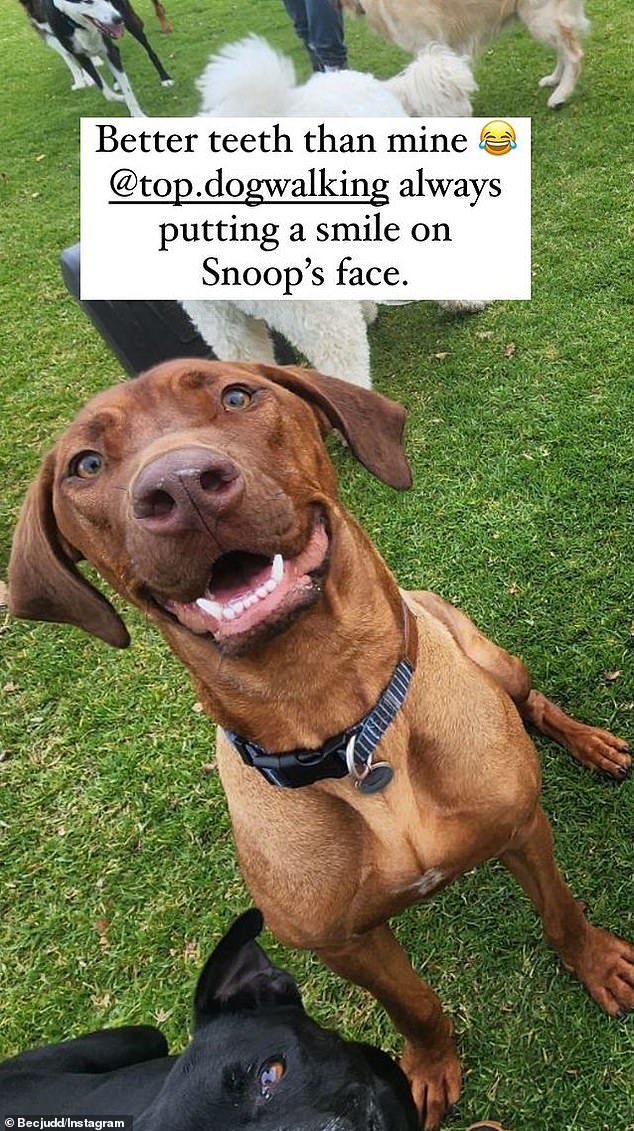 In her Instagram stories, the AFL WAG confessed that her dog Snoop has a better smile than her