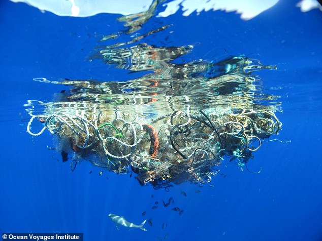 The charity's Head of Environmental and Social Affairs, Matthias Egger, explained that the system was designed to have large escape routes for marine life, which can swim to the bottom without losing any of the plastic that tends to float to the surface. .