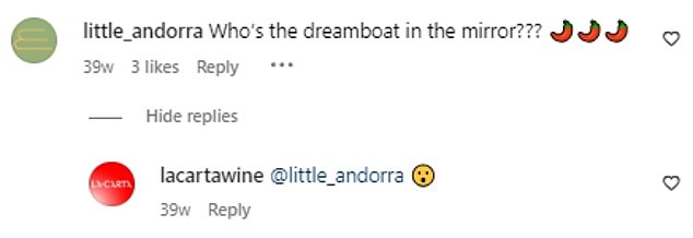 'Who is the dreamy boy in the mirror?' one follower wrote under the image, to which Will commented a surprised emoji in response from his La Carta Wine account.