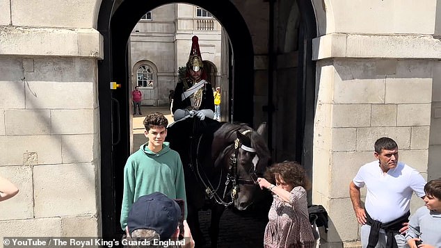 The horse gently pushes the woman who is apparently so surprised that she falls to the ground.