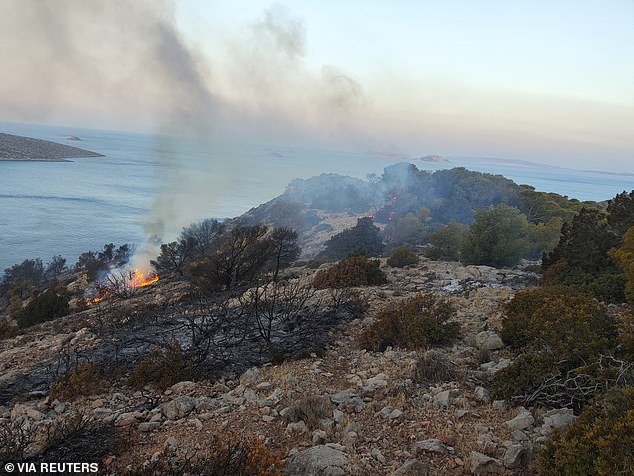 View of an area damaged by a forest fire on the island of Hydra, Greece, June 22, 2024