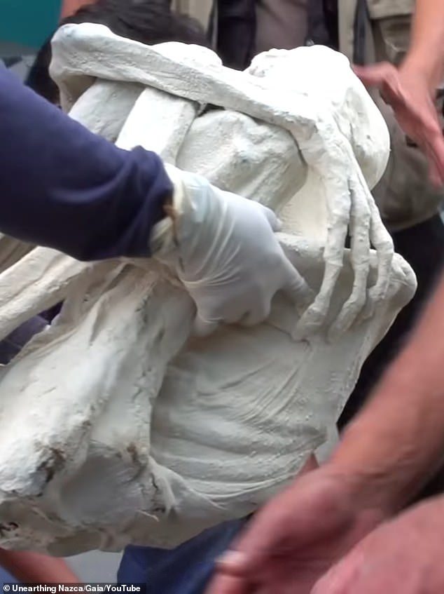 1719252316 802 New discoveries revealed about three fingered alien mummy found in South