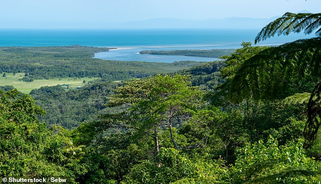 In far north Queensland (pictured) he likes to visit the mangroves and estuaries, as well as doing various mountain biking routes.