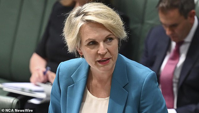 Environment Minister Tanya Plibersek declined to comment on the matter, stating: 