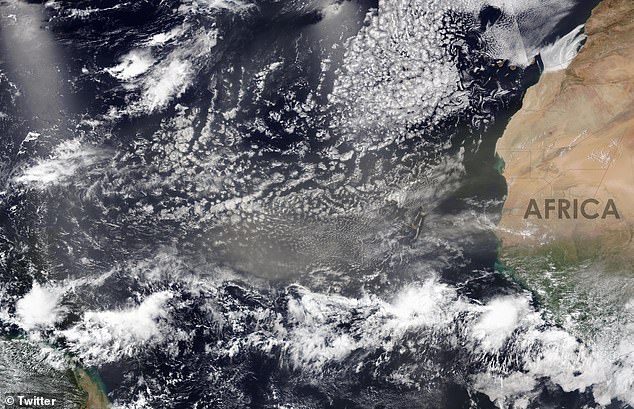 Saharan dust travels 5,000 miles from the Sahara Desert to the Florida coast each year. This dust storm is expected to be the largest so far this season