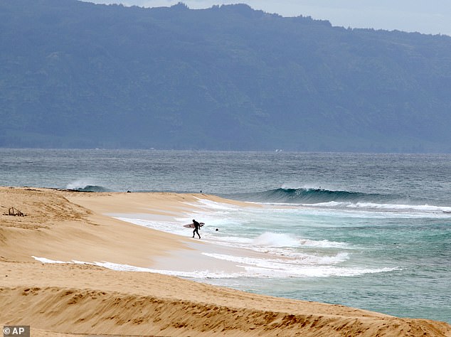 On Sunday, Perry was found on M¿laekahana Beach on Oahu's north shore by local surfers missing an arm and a leg. Paramedics pronounced him dead at the scene.