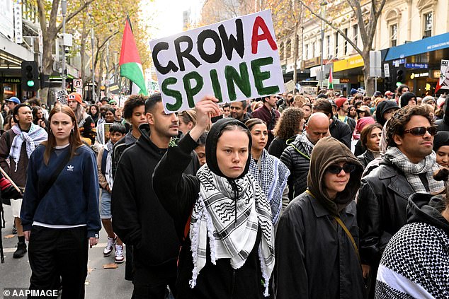 Palestinian protesters are unhappy with the Labor government's response to the war between Israel and Hamas.