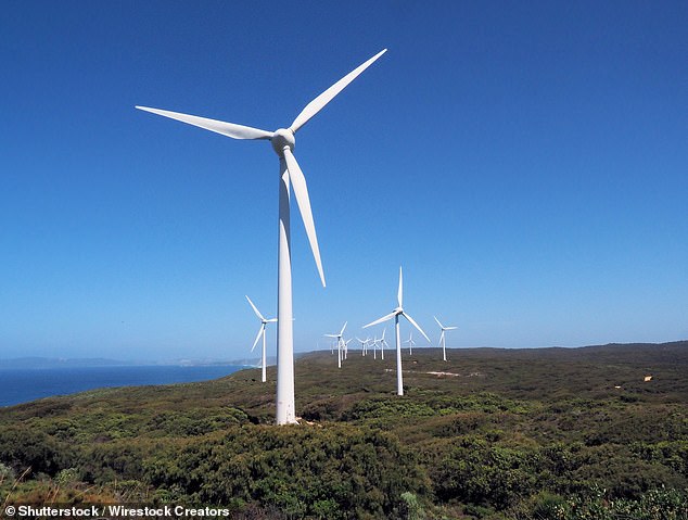 The proposed 300 offshore wind turbines will each be more than 280 meters tall, Sutherland Shire Mayor Carmelo Pesce said.