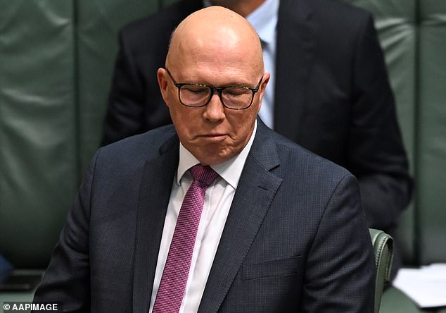 In a heated debate about cost of living pressures on Wednesday, Anthony Albanese referred to Mr Dutton (pictured) as 