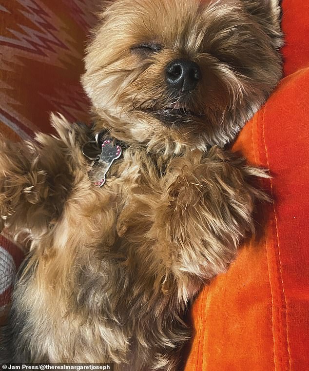 Margaret, 57, uploaded a carousel of photos of her Yorkshire Terrier before adding a long caption beginning: 